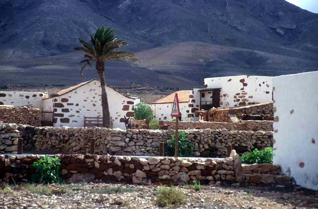 Ecomuseo La Alcogida in Tefia