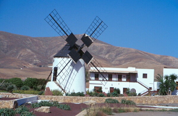 Molino in Antigua - Fuerteventura