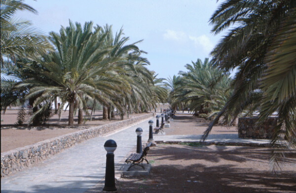 Gran Tarajal - Fuerteventura