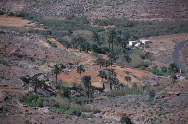 Vega Rio Palmas - Fuerteventura