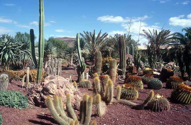 Zoo La Lajita - Fuerteventura