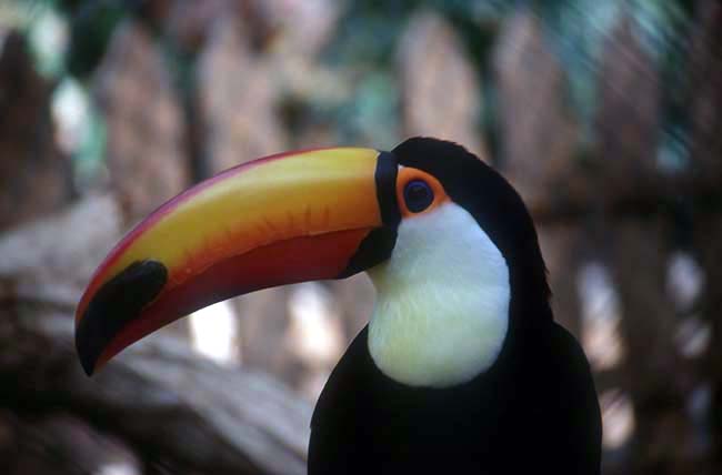 Zoo La Lajita - Fuerteventura