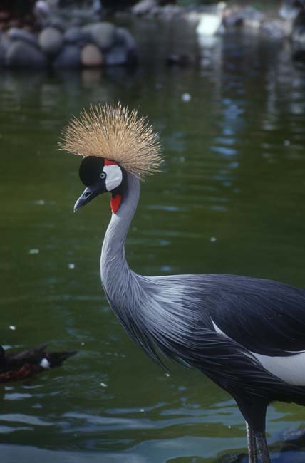 Zoo La Lajita - Fuerteventura