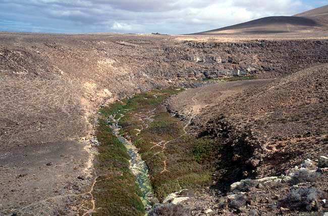 Los Molinos