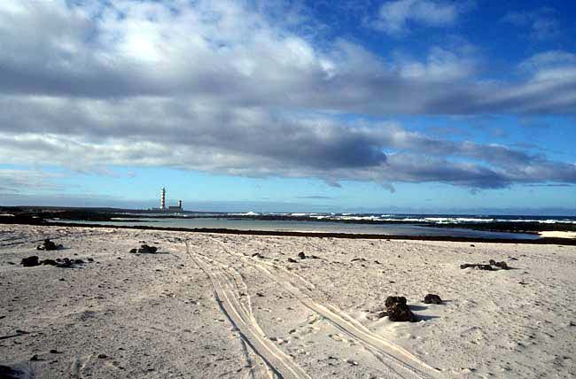 Sandstrand bei Cotillo - Fuerteventura