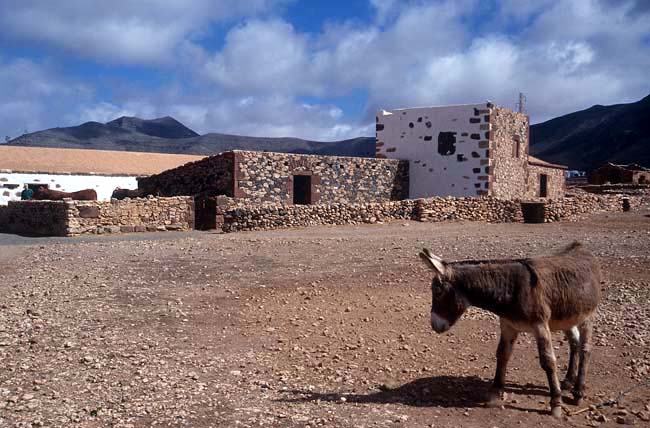 Ecomuseo La Alcogida in Tefia
